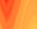 koch universal